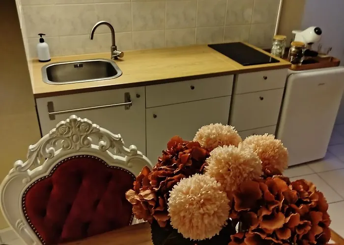 La Provocante 63 Sauna Et Bdsm * Aulnat